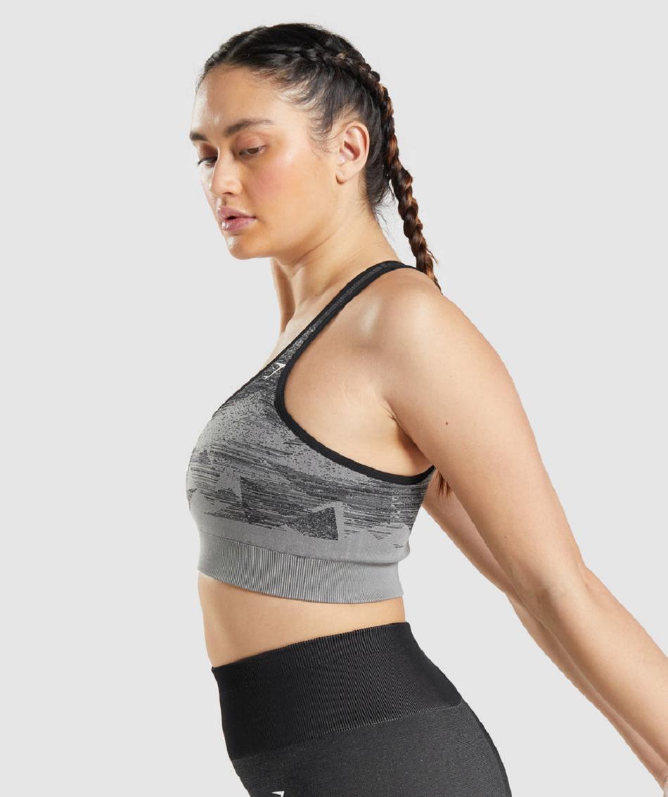 Sujetadores Deportivos Gymshark Adapt Ombre Seamless Mujer Negras | CO 2207QMA